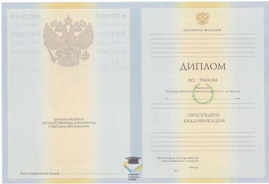 Диплом ИМИР 2010-2011 годов